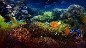 The Last Reef: Cities Beneath the Sea háttérkép