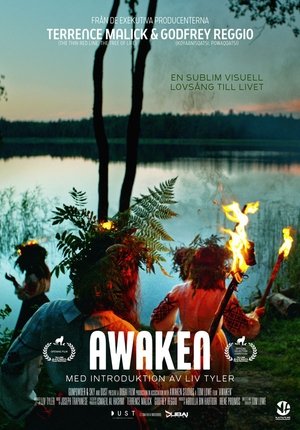Awaken poszter