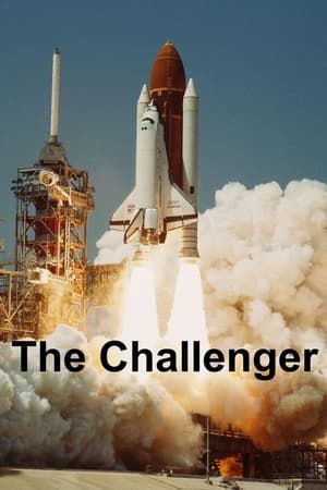 The Challenger Disaster poszter