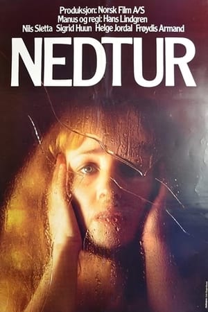 Nedtur