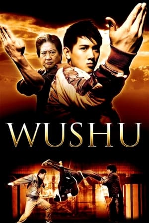 Wushu - A fiatal generáció poszter