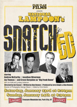 National Lampoon's Snatched poszter