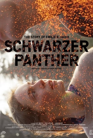 Schwarzer Panther poszter