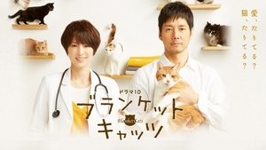 ブランケット・キャッツ kép