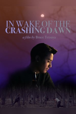 In Wake of the Crashing Dawn