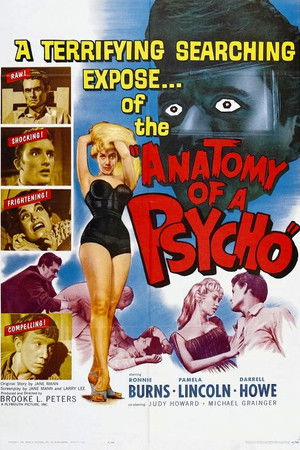 Anatomy of a Psycho poszter
