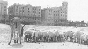 La primera mirada: historia de una escuela de cine háttérkép