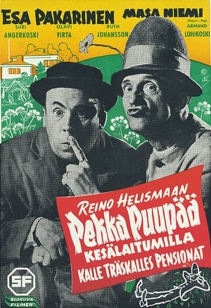 Pekka Puupää kesälaitumilla poszter