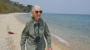 Jane Goodall: A remény háttérkép