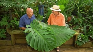 Gardening Australia Season 30 Ep.17 17. epizód