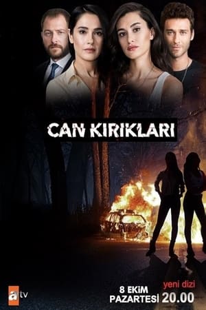 Can Kırıkları poszter