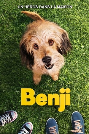 Benji poszter