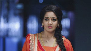 சின்னதம்பி Season 1 Ep.50 50. epizód