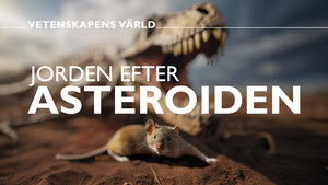 Vetenskapens värld 49. évad Ep.23 23. epizód