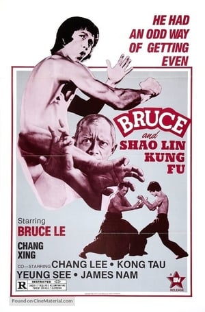 Bruce and Shaolin Kung Fu poszter