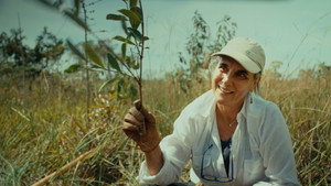 Planter à tout prix - Des arbres pour sauver la planète ? háttérkép