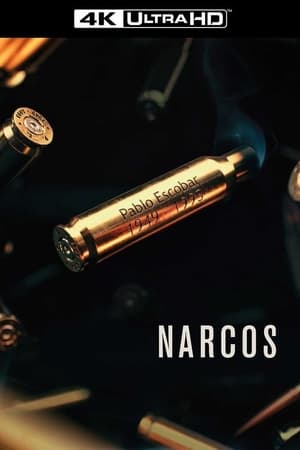 Narcos poszter