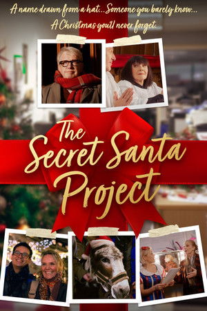 The Secret Santa Project poszter