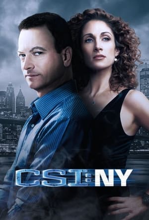 CSI: New York-i helyszínelők poszter