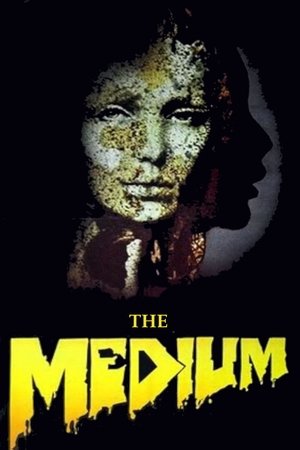Il medium poszter