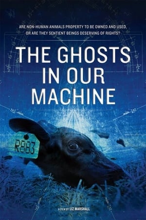 The Ghosts in Our Machine poszter