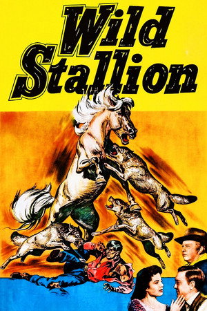 Wild Stallion poszter