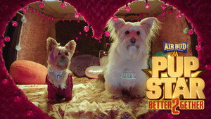 Pup Star: Better 2Gether háttérkép