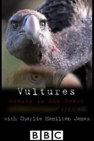 Vultures: Beauty in the Beast