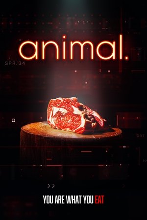 animal. poszter