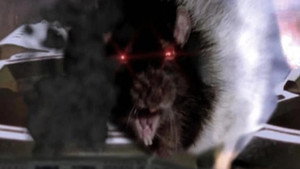 Rat Scratch Fever háttérkép