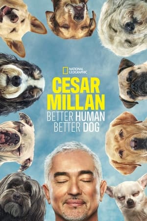 Cesar Millan: Jó gazdi, jó kutya poszter