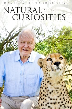 A természet furcsaságai David Attenborough-val