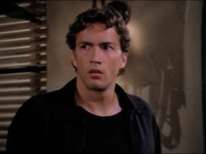 Melrose Place 5. évad Ep.4 4. epizód