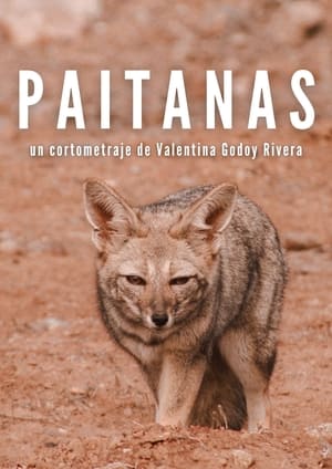 Paitanas