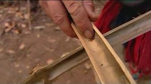 Dual Survival 1. évad Ep.5 5. epizód