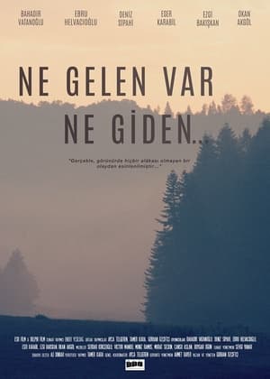 Ne Gelen Var Ne Giden...