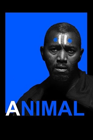 Animal poszter