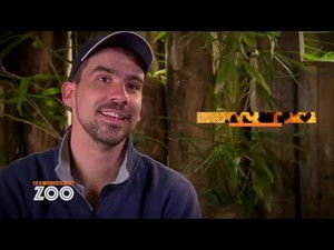 Une saison au zoo Season 5 Ep.33 33. epizód