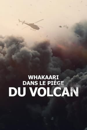 A Whakaari vulkánkitörés poszter