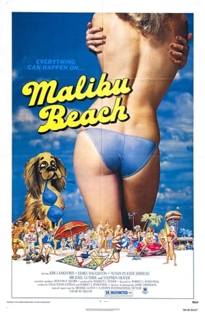 Malibu Beach poszter