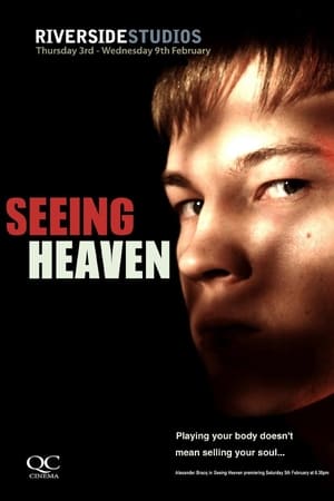 Seeing Heaven poszter