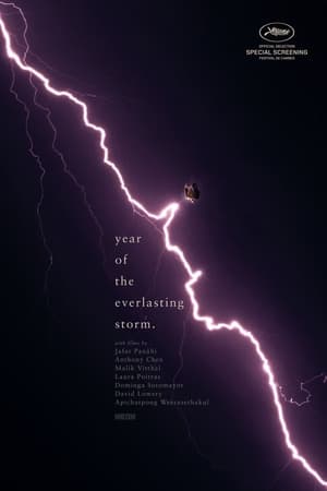 The Year of the Everlasting Storm poszter