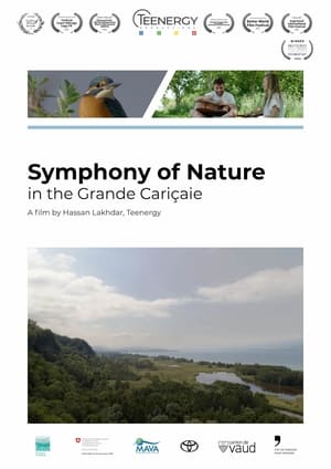 Symphonie de la nature dans la Grande Cariçaie poszter