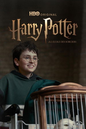 Harry Potter poszter