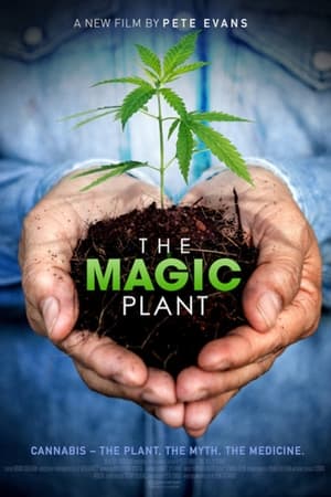 The Magic Plant poszter