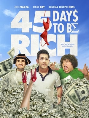 45 Days to Be Rich poszter