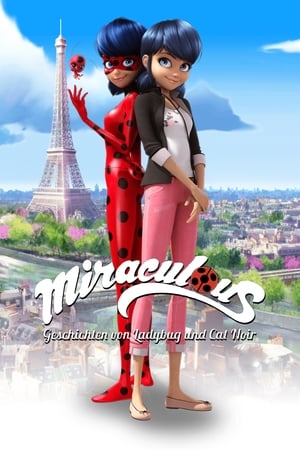 Miraculous - Katicabogár és Fekete Macska kalandjai poszter