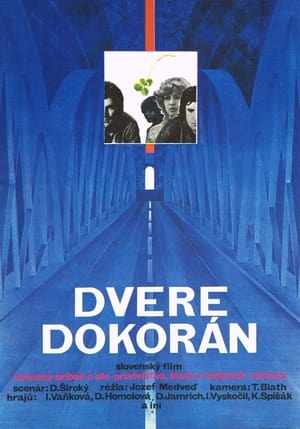 Dvere dokorán