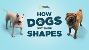 How Dogs Got Their Shapes háttérkép