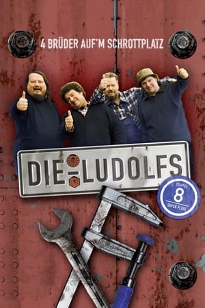 Die Ludolfs – 4 Brüder auf'm Schrottplatz